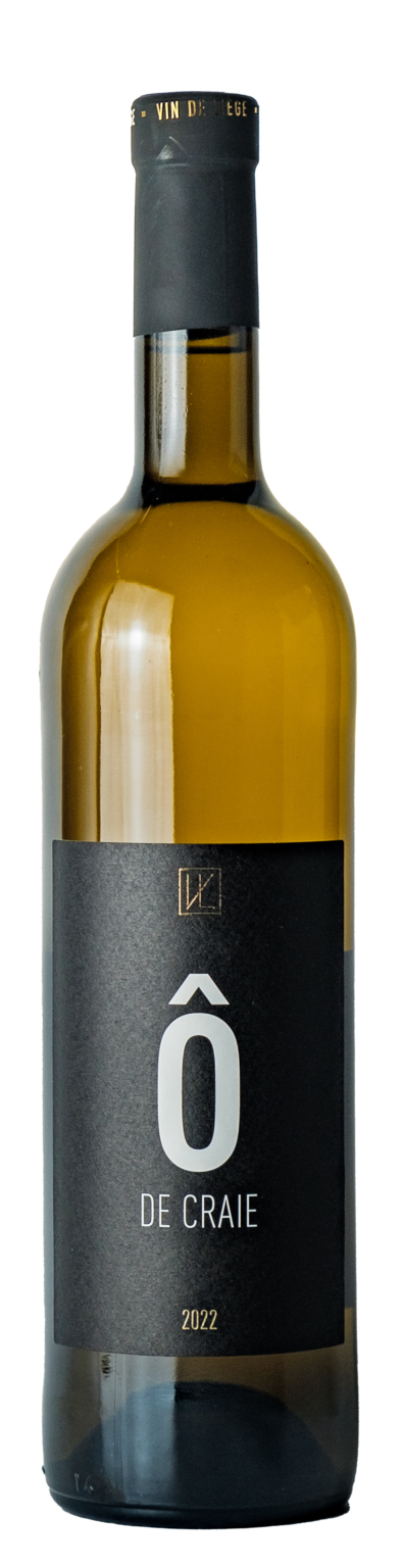Vin De Li ge Un Domaine Viticole Li geois Wallonie Belgique vin-de-li-ge-un-domaine-viticole-li-geois-wallonie-belgique